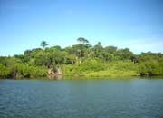 Ilha do Caranguejo