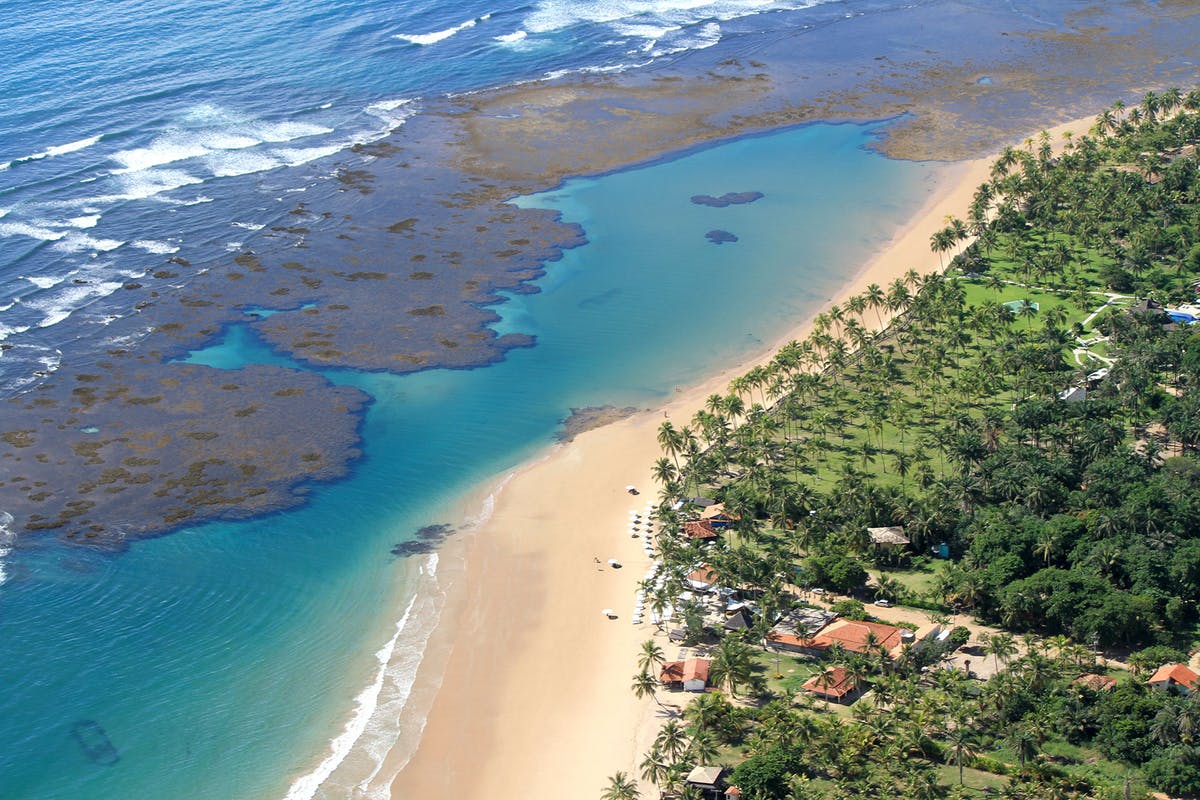 TAIPUS NET Passeios Mara Peninsula Bahia Brazil